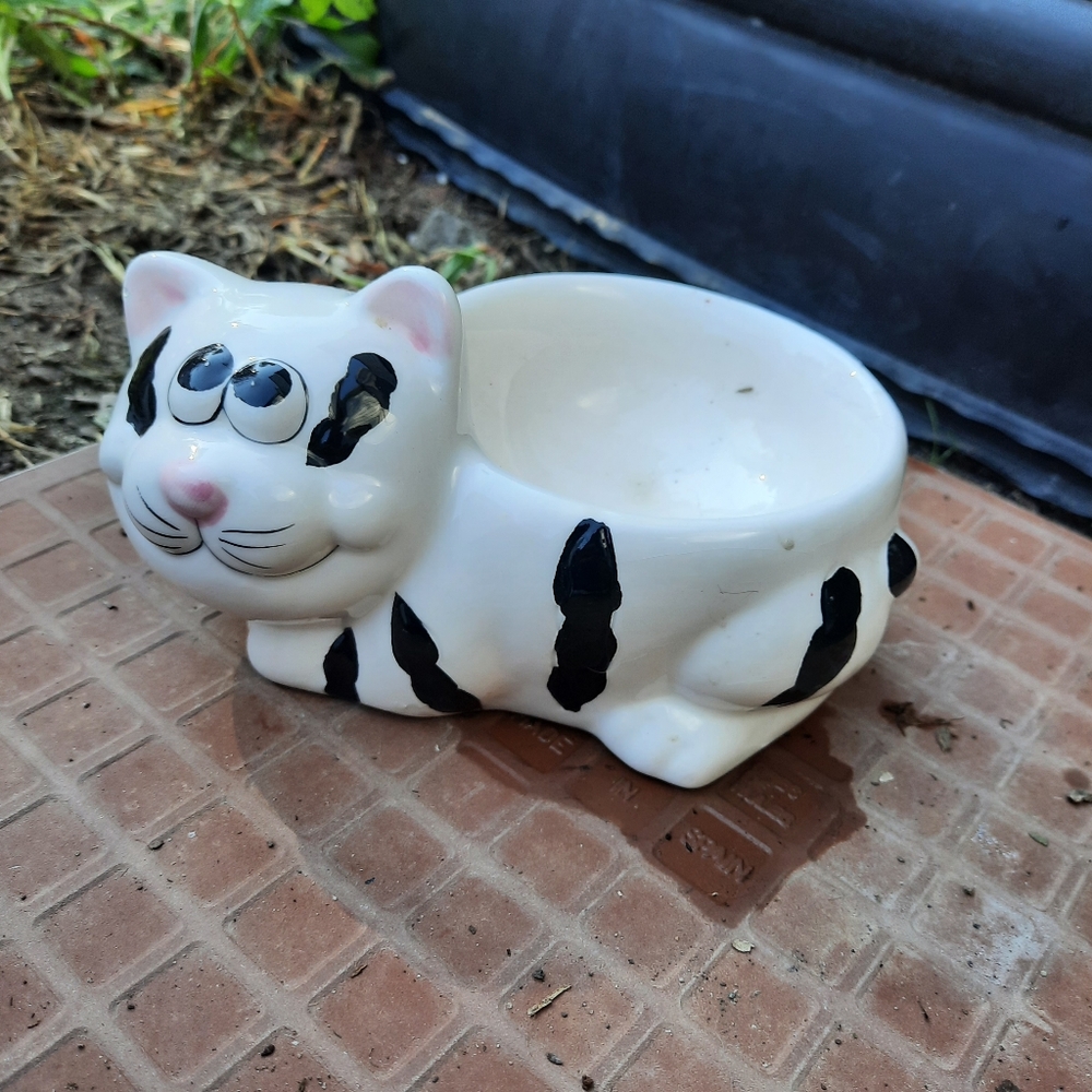 Water/Food dish
